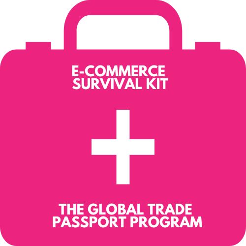 e-Commerce Survival Kit